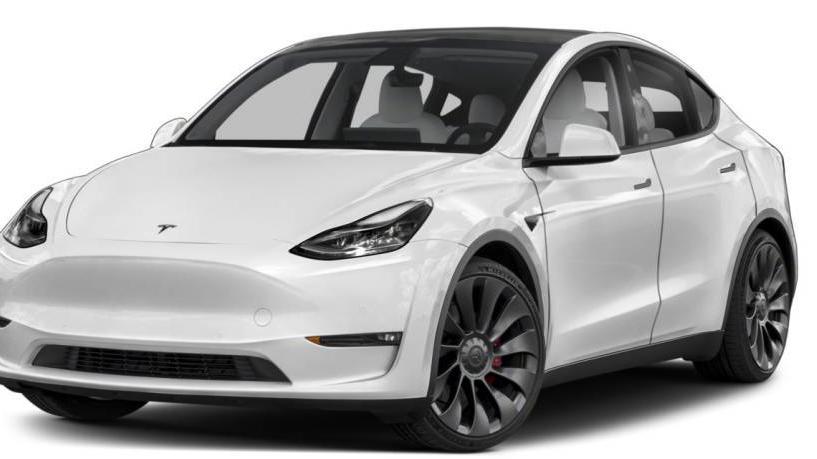 TESLA MODEL Y 2021 5YJYGDEE4MF149061 image